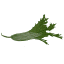 ݂